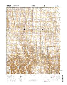 Tubs Springs 2016 topographic map thumbnail