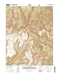 Baldy Cinco 2016 topographic map thumbnail