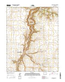Capps Springs 2016 topographic map thumbnail