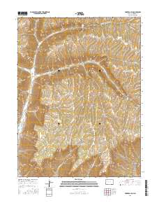 Forked Gulch 2016 topographic map thumbnail