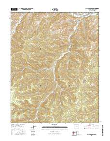 Little Pine Canyon 2016 topographic map thumbnail