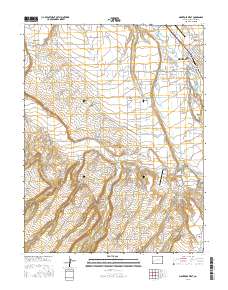 Montrose West 2016 topographic map thumbnail