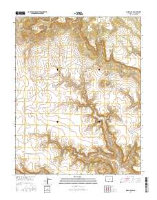 Pine Canyon 2016 topographic map thumbnail