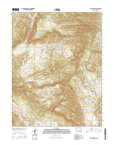 Rice Mountain 2016 topographic map thumbnail