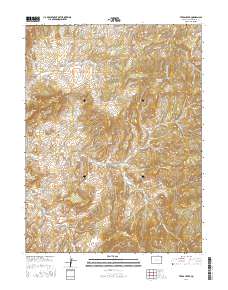 Texas Creek 2016 topographic map thumbnail
