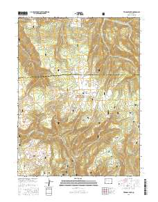 Triangle Park 2016 topographic map thumbnail