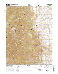 Whale Hill 2016 topographic map thumbnail
