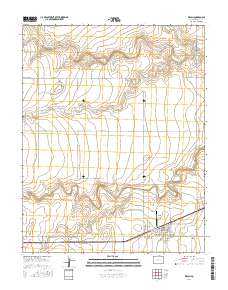 Walsh 2016 topographic map thumbnail
