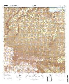 Nahiku 2013 topographic map thumbnail