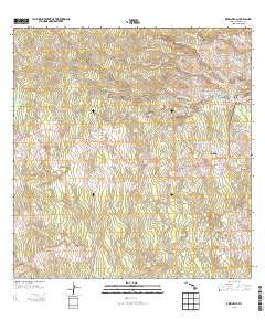 Piihonua 2013 topographic map thumbnail