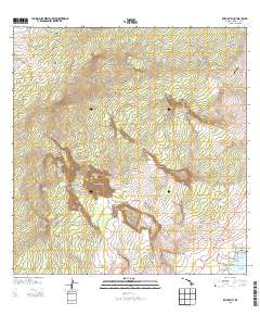 Punaluu 2013 topographic map thumbnail