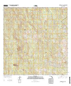Puumakaala 2013 topographic map thumbnail