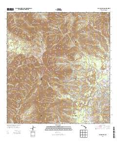 Waialeale 2013 topographic map thumbnail