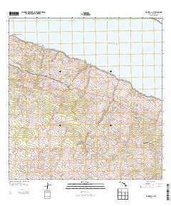 Honokaa 2013 topographic map thumbnail