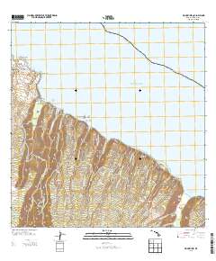 Honokane 2013 topographic map thumbnail