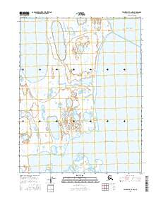 Teshekpuk D-3 NW 2016 topographic map thumbnail