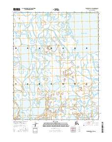 Teshekpuk D-3 SW 2016 topographic map thumbnail
