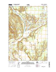 Tyonek C-2 SE 2016 topographic map thumbnail