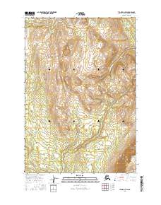Tyonek C-3 SW topographic map thumbnail