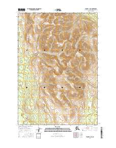Tyonek C-4 NE topographic map thumbnail