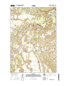 Tyonek D-4 NE topographic map thumbnail