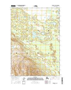 Tyonek D-4 SE 2016 topographic map thumbnail
