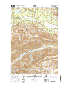 Tyonek D-7 NE 2016 topographic map thumbnail