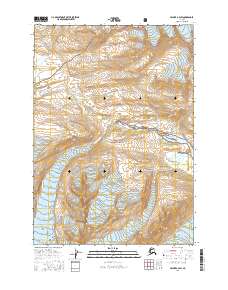 Valdez A-4 SW 2016 topographic map thumbnail