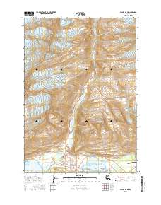 Valdez A-7 NE 2016 topographic map thumbnail