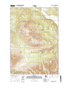 Valdez B-1 NW 2016 topographic map thumbnail