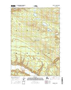 Valdez C-2 NE 2016 topographic map thumbnail