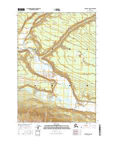 Valdez C-2 NW 2016 topographic map thumbnail