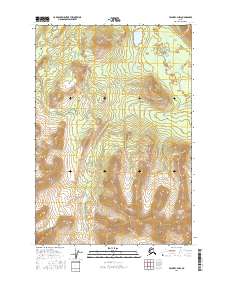 Valdez C-4 NW 2016 topographic map thumbnail