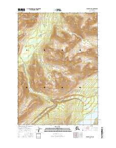 Valdez C-5 SE 2016 topographic map thumbnail