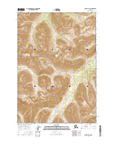 Valdez C-5 SW 2016 topographic map thumbnail