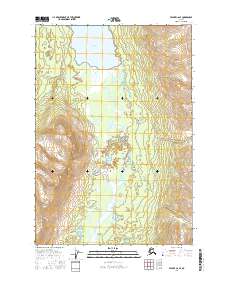 Valdez C-6 SE 2016 topographic map thumbnail