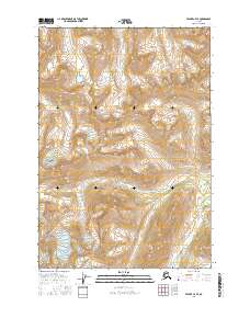 Valdez C-7 SE 2016 topographic map thumbnail