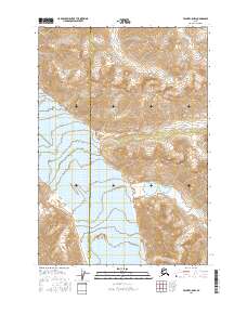 Valdez C-8 NW 2016 topographic map thumbnail