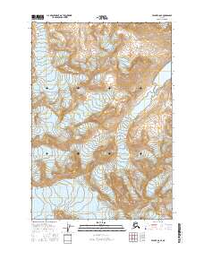 Valdez C-8 SE 2016 topographic map thumbnail