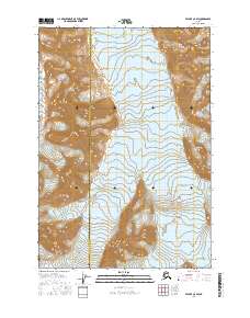 Valdez C-8 SW 2016 topographic map thumbnail