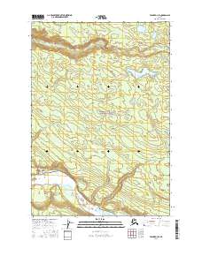 Valdez D-3 SE 2016 topographic map thumbnail