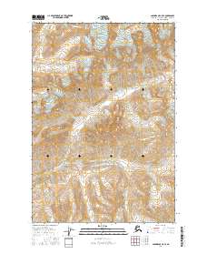 Anchorage C-5 SE 2016 topographic map thumbnail