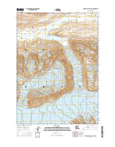 Bering Glacier C-4 NE 2016 topographic map thumbnail