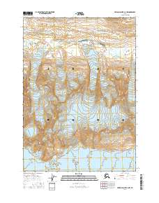 Bering Glacier C-4 NW 2016 topographic map thumbnail