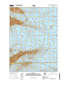 Bering Glacier C-5 SE 2016 topographic map thumbnail