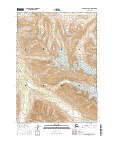 Bering Glacier D-4 NE 2016 topographic map thumbnail