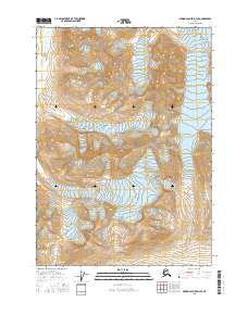 Bering Glacier D-4 SE 2016 topographic map thumbnail