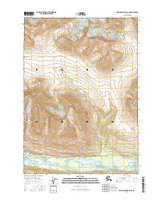 Bering Glacier D-6 NE 2016 topographic map thumbnail