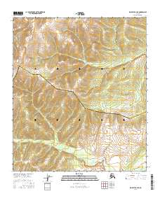 Big Delta B-4 NE 2016 topographic map thumbnail