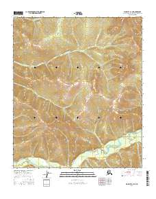 Big Delta C-3 NE 2016 topographic map thumbnail